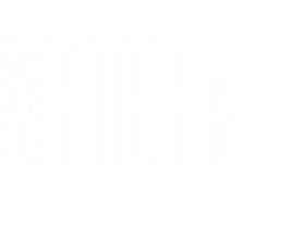 WRITER & 